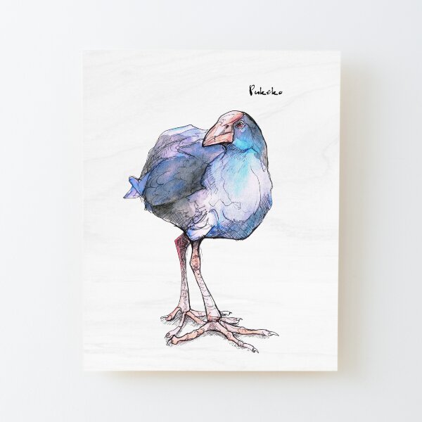 Pukeko (old version) Wood Mounted Print