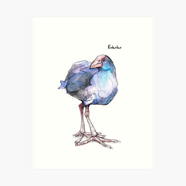 Pukeko (old version) Art Print