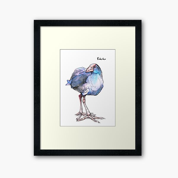 Pukeko (old version) Framed Art Print