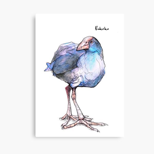 Pukeko (old version) Canvas Print