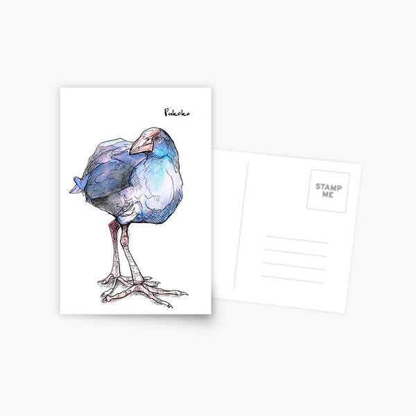Pukeko (old version) Postcard