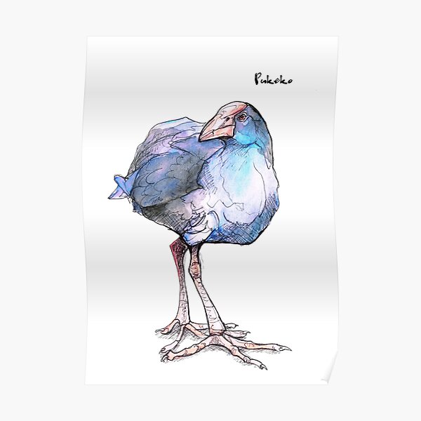 Pukeko (old version) Poster