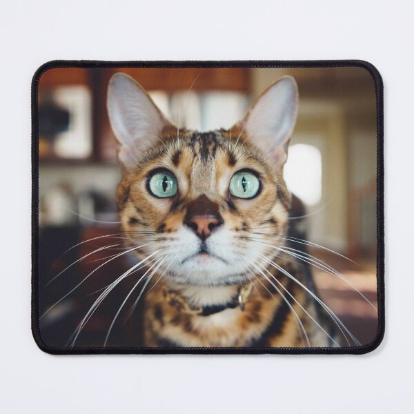 Item preview, felines ,animals#luk&arts animal collection,Dea gift for those you like designed and sold by LUK0arts.