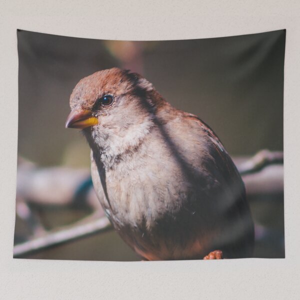 Item preview, House Sparrow Perched on a Branch designed and sold by Michael Deemer.
