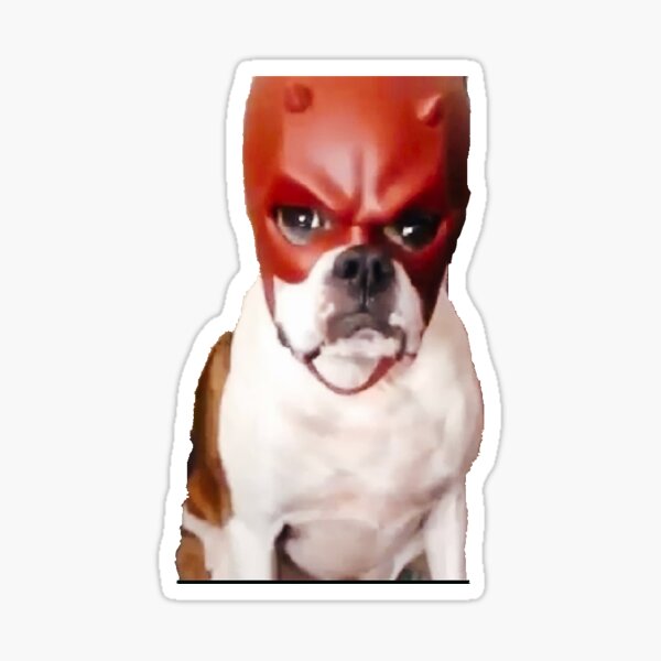 "Daredevil dog" Sticker by MelonReal Redbubble