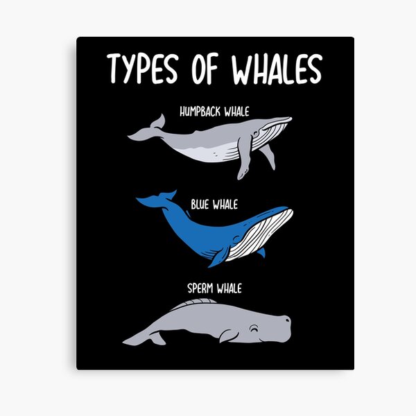Item preview, Whale Mammals All Types Lovers Activists Guide designed and sold by MakeGoodChoices.