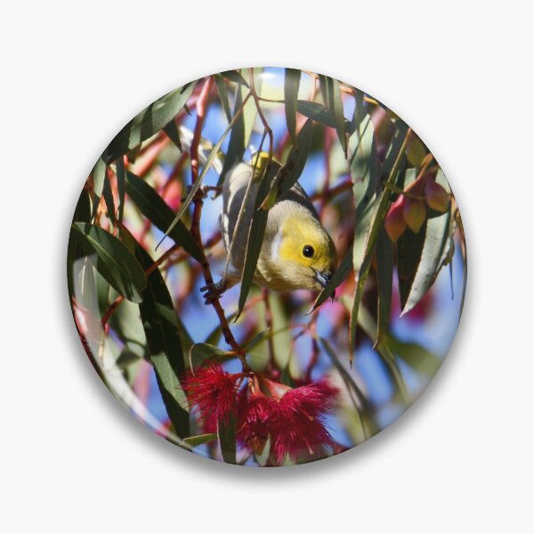 Item preview, Honeyeater Blossoms designed and sold by malleekat.