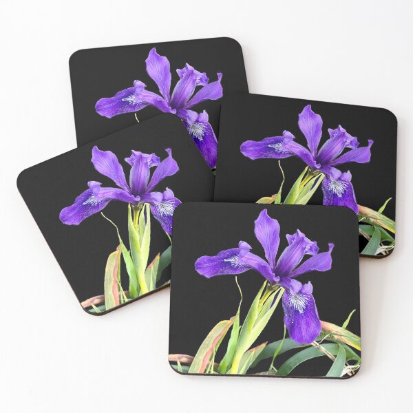 Item preview, Beautiful image of a wild iris flower designed and sold by Floradigital.