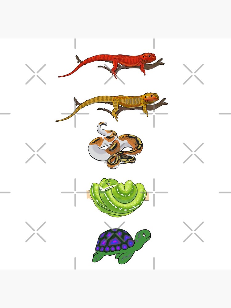 "Reptiles " Poster for Sale by RavenMoo6 | Redbubble