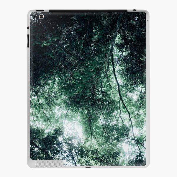 Stray iPad Skin