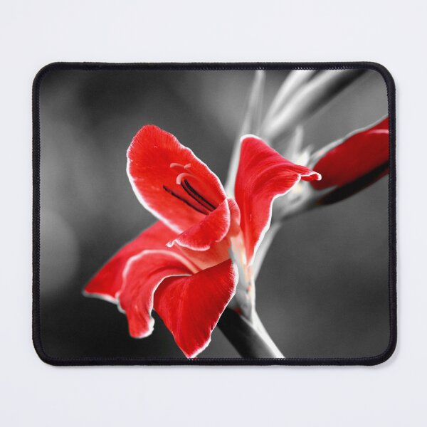 Item preview, Gladiolus selective color designed and sold by cuprum.