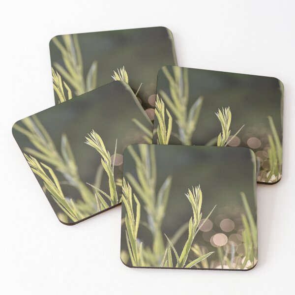 Item preview, Memories of summer designed and sold by RJsphotography and More.