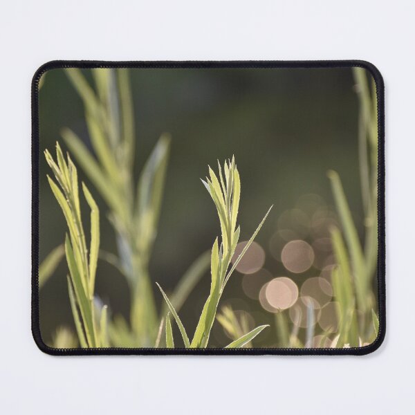 Item preview, Memories of summer designed and sold by RJsphotography and More.