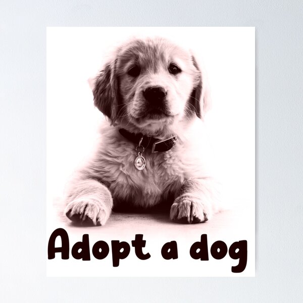 Adopt A dog - Dog Lover  Poster for Sale by ChaseRyanHome