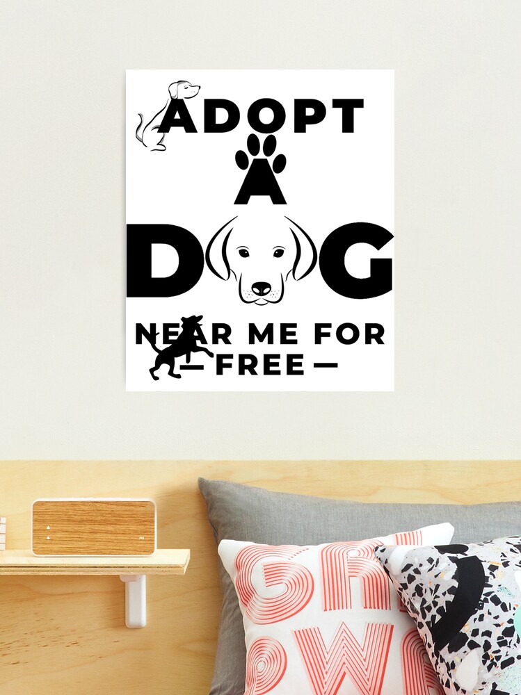 Adopt a dog near me Fitted  Photographic Print for Sale by