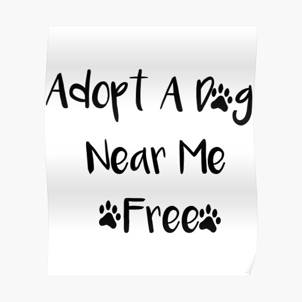 "Adopt A Dog Near Me Free " Poster by ChaseRyanHome Redbubble