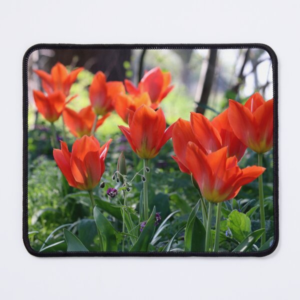 Item preview, Cheering Up the Spring Garden designed and sold by cuprum.