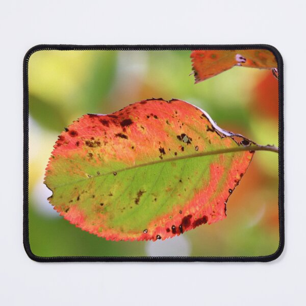 Item preview, Autumn Palette designed and sold by cuprum.