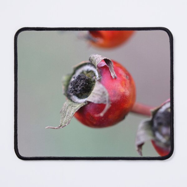 Item preview, Rose Hips End of Winter designed and sold by cuprum.