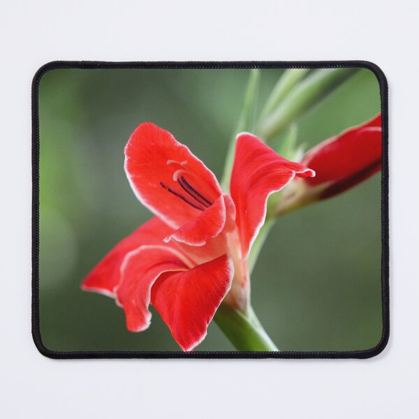 Item preview, Something Bright designed and sold by cuprum.