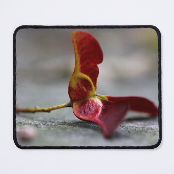 Item preview, Promise of New Life designed and sold by cuprum.