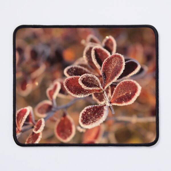 Item preview, Frosty Berberis designed and sold by cuprum.