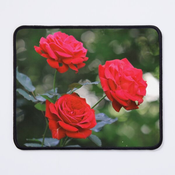 Item preview, 3 rosas rojas designed and sold by cuprum.