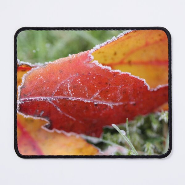 Item preview, When Fall meets Winter designed and sold by cuprum.