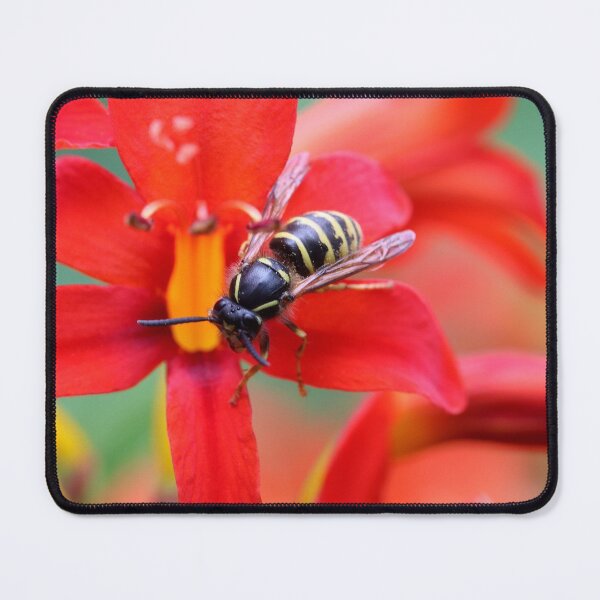 Item preview, irresistible designed and sold by cuprum.