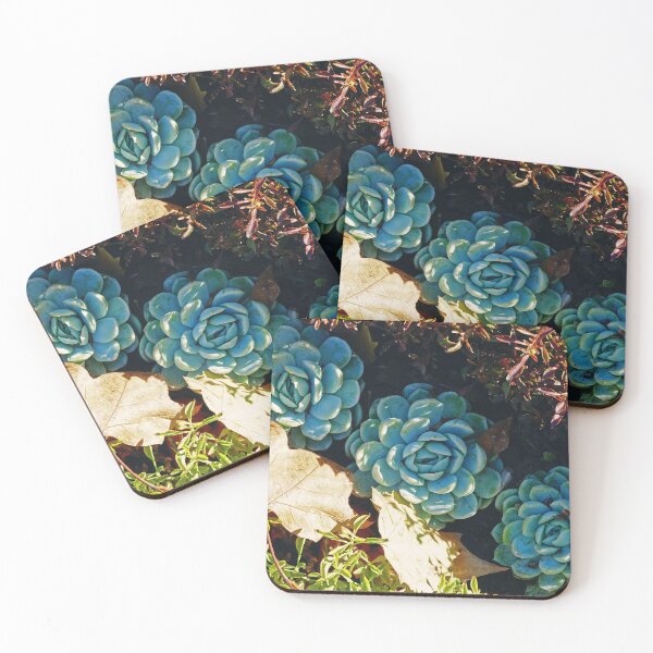 Item preview, Fleshy Pale Blue Succulents - Autumn Botanical Close-Up designed and sold by CarolinaReina.