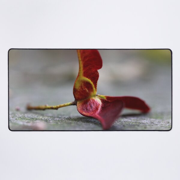 Item preview, Promise of New Life designed and sold by cuprum.