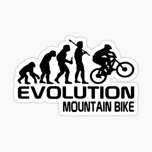 Pegatinas: Motocross Evolution