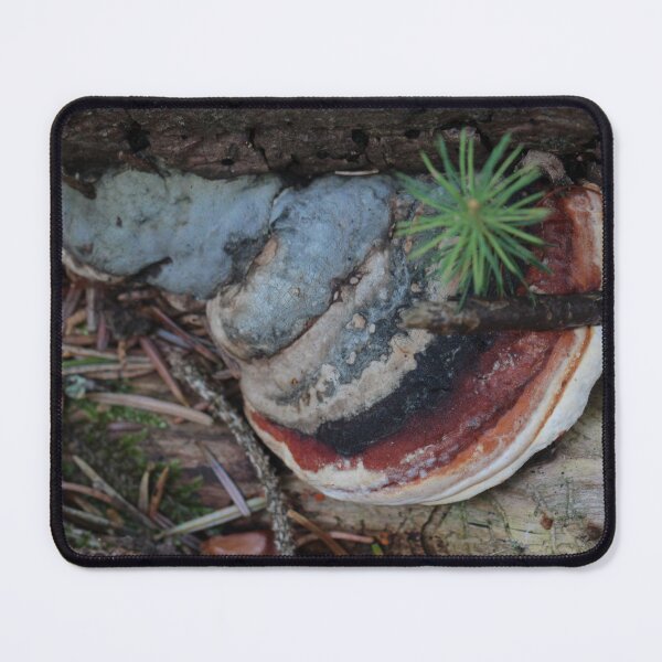 Item preview, Red-banded Polypore II designed and sold by cuprum.