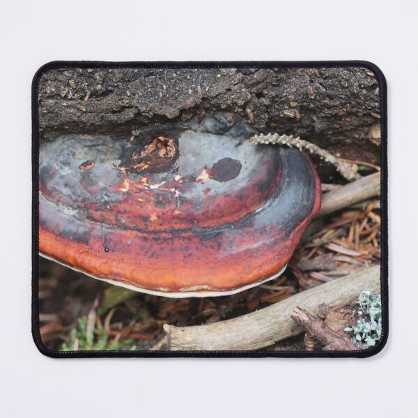 Item preview, Red-banded Polypore III designed and sold by cuprum.