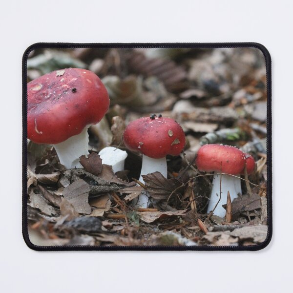 Item preview, 3 Red Hats on a Row designed and sold by cuprum.