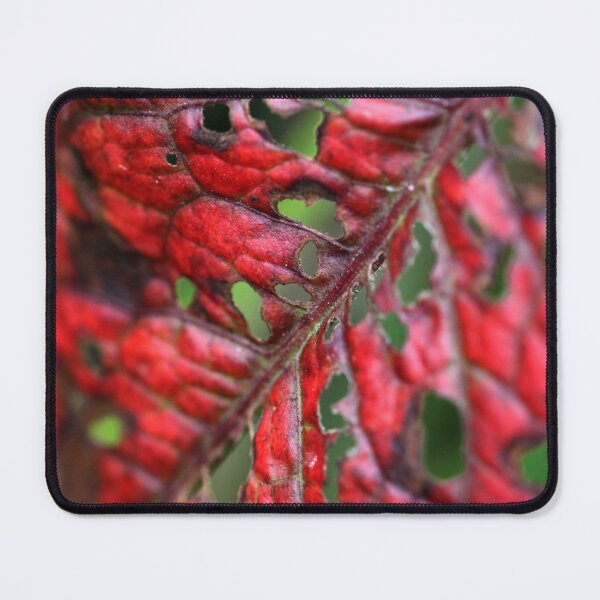 Item preview, Vegetable Leather designed and sold by cuprum.