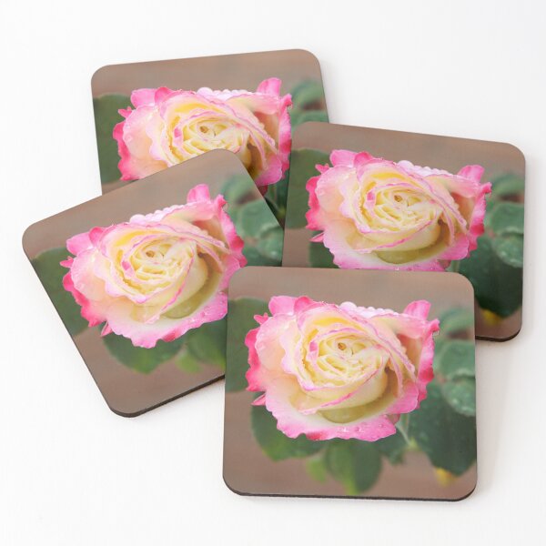 Item preview, Rose designed and sold by jarrahimages.