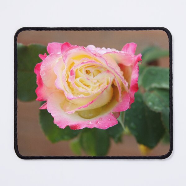 Item preview, Rose designed and sold by jarrahimages.