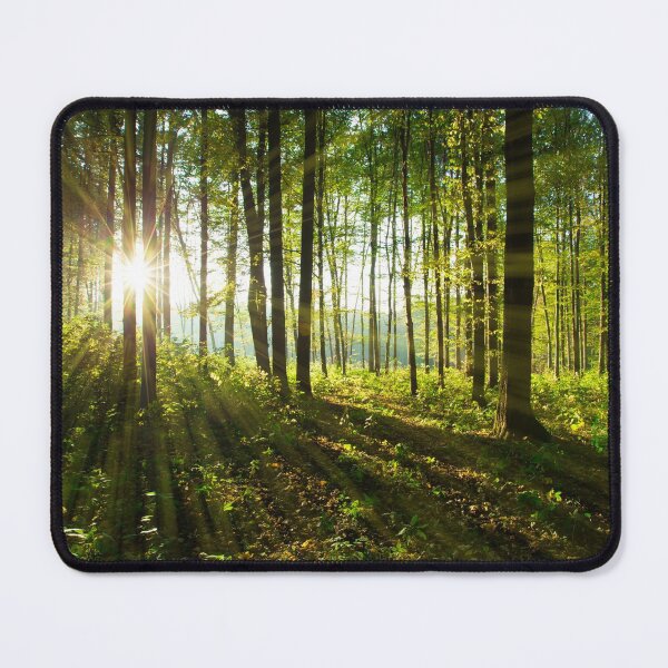 Item preview, Forest Tree Landscape designed and sold by JTS STORE.