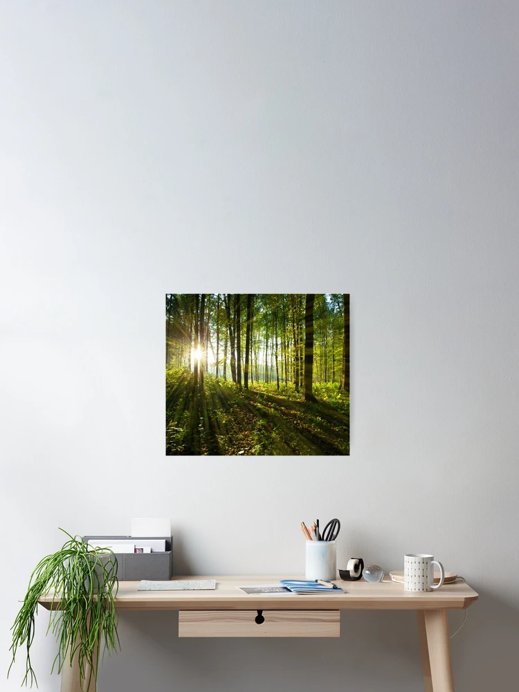 Thumbnail 2 of 3, Poster, Forest Tree Landscape designed and sold by JTS STORE.
