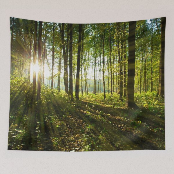 Item preview, Forest Tree Landscape designed and sold by JTS STORE.
