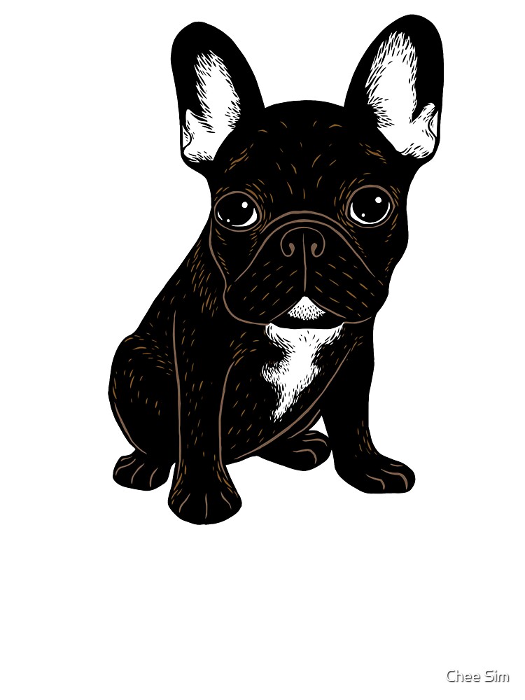 Seal brindle 2024 french bulldog