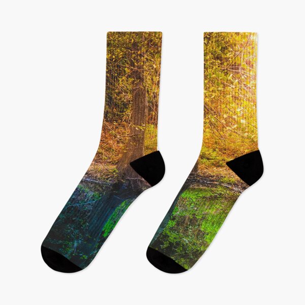 Item preview, Forest Trees Reflected Calm Water river Autumn  designed and sold by JTS STORE.
