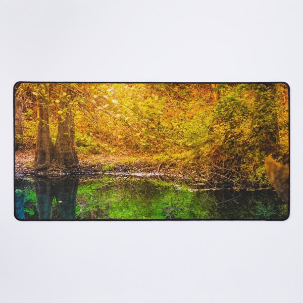 Item preview, Forest Trees Reflected Calm Water river Autumn designed and sold by JTS STORE.