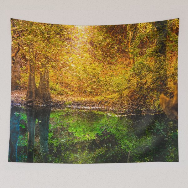Item preview, Forest Trees Reflected Calm Water river Autumn designed and sold by JTS STORE.