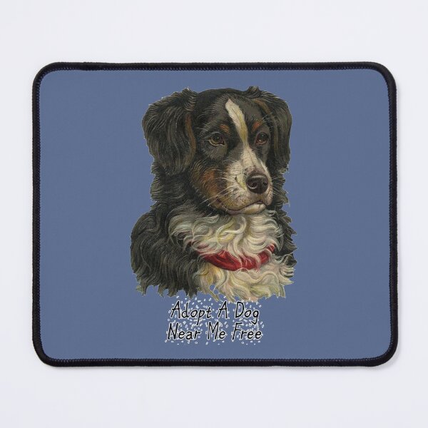 Item preview, Adopt A Dog Near Me Free  (16) designed and sold by StatelyTshirts.
