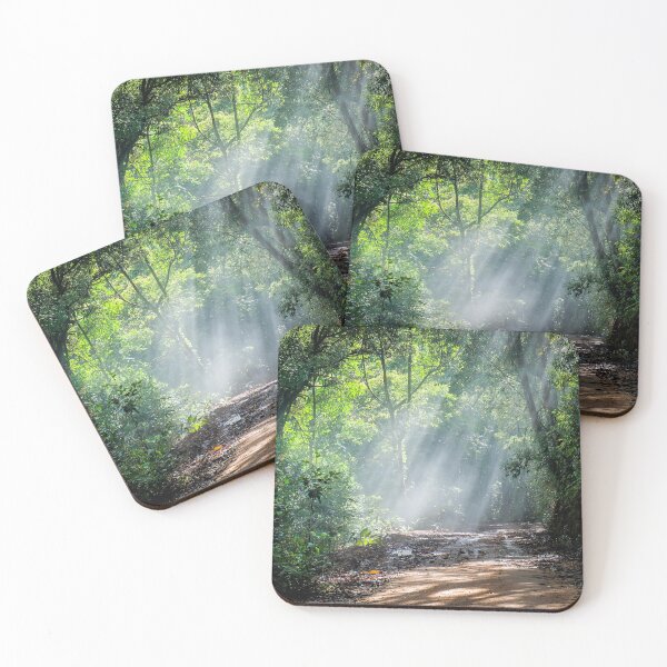 Item preview, Rain Forest With Dirt Road designed and sold by JTS STORE.
