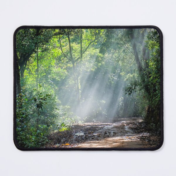 Item preview, Rain Forest With Dirt Road designed and sold by JTS STORE.