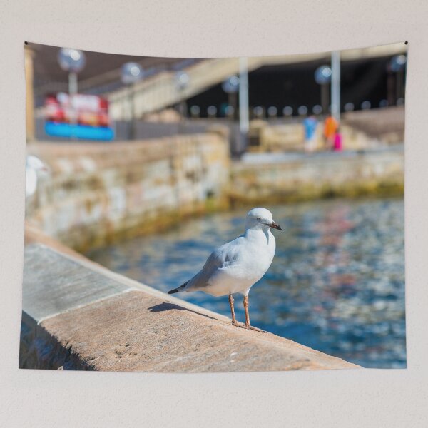 Item preview, Sea Gull Seaside Sydney Australia New South Wales designed and sold by JTS STORE.