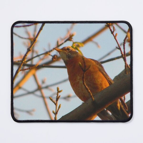 Item preview, American Robin on a Branch designed and sold by Wheeler-Styl3.